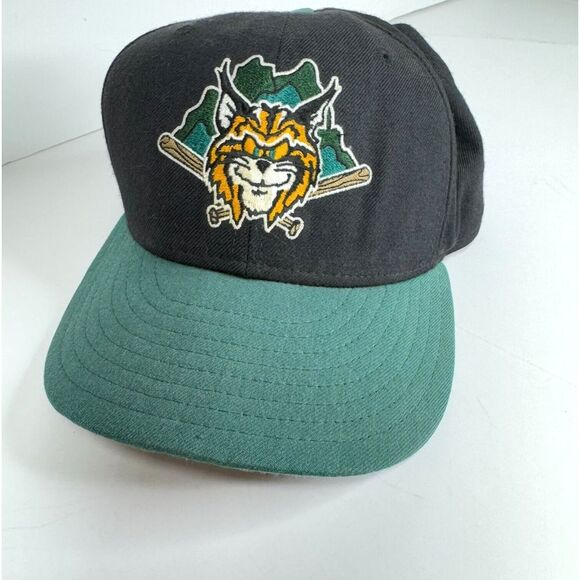 Vtg Lynchburg Hillcats‎ Cap Sz 7 1/2 Made USA New Era 5950 Pro Wool MILB Fitted - Picture 1 of 7